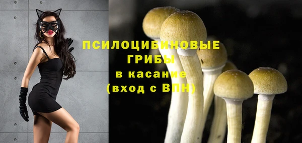 сатива Арсеньев