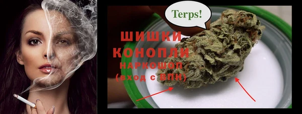 сатива Арсеньев