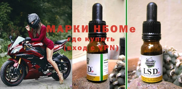 прущие грибы Нязепетровск