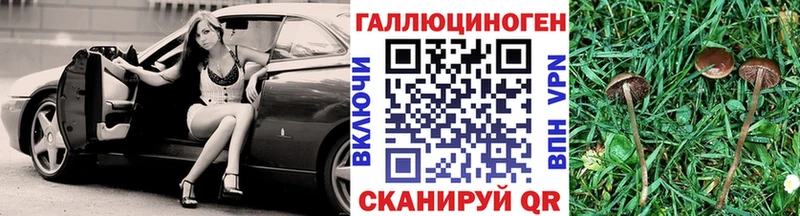 нарко площадка формула  Теберда  Галлюциногенные грибы Magic Shrooms  продажа наркотиков 